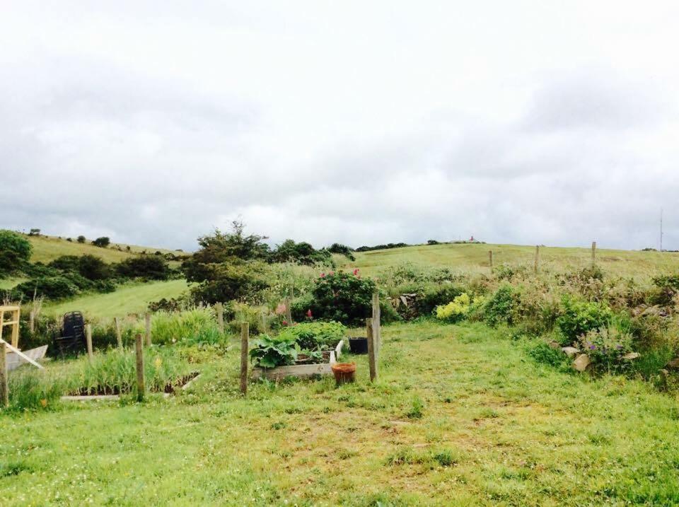 Holland House Bed & Breakfast Ballyshannon Bagian luar foto